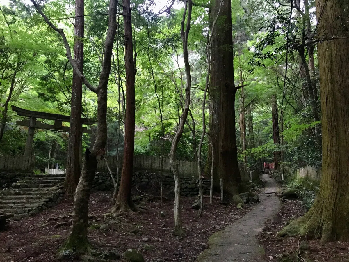 画像24