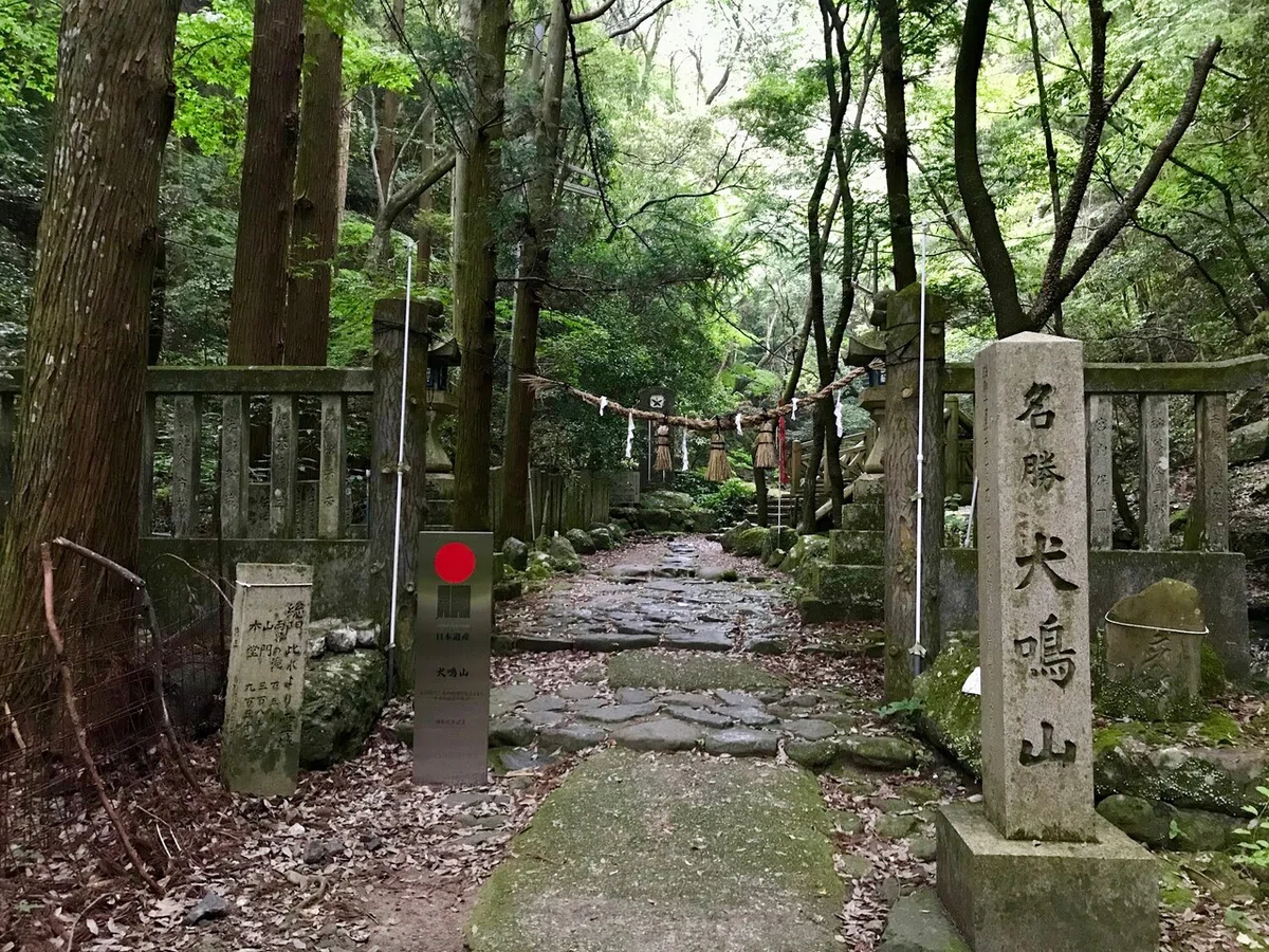 画像25