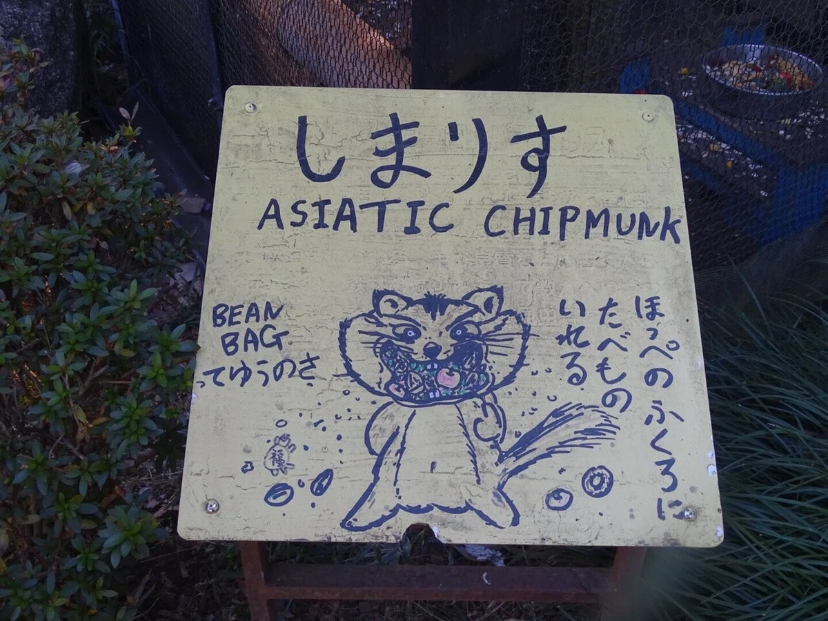 画像7