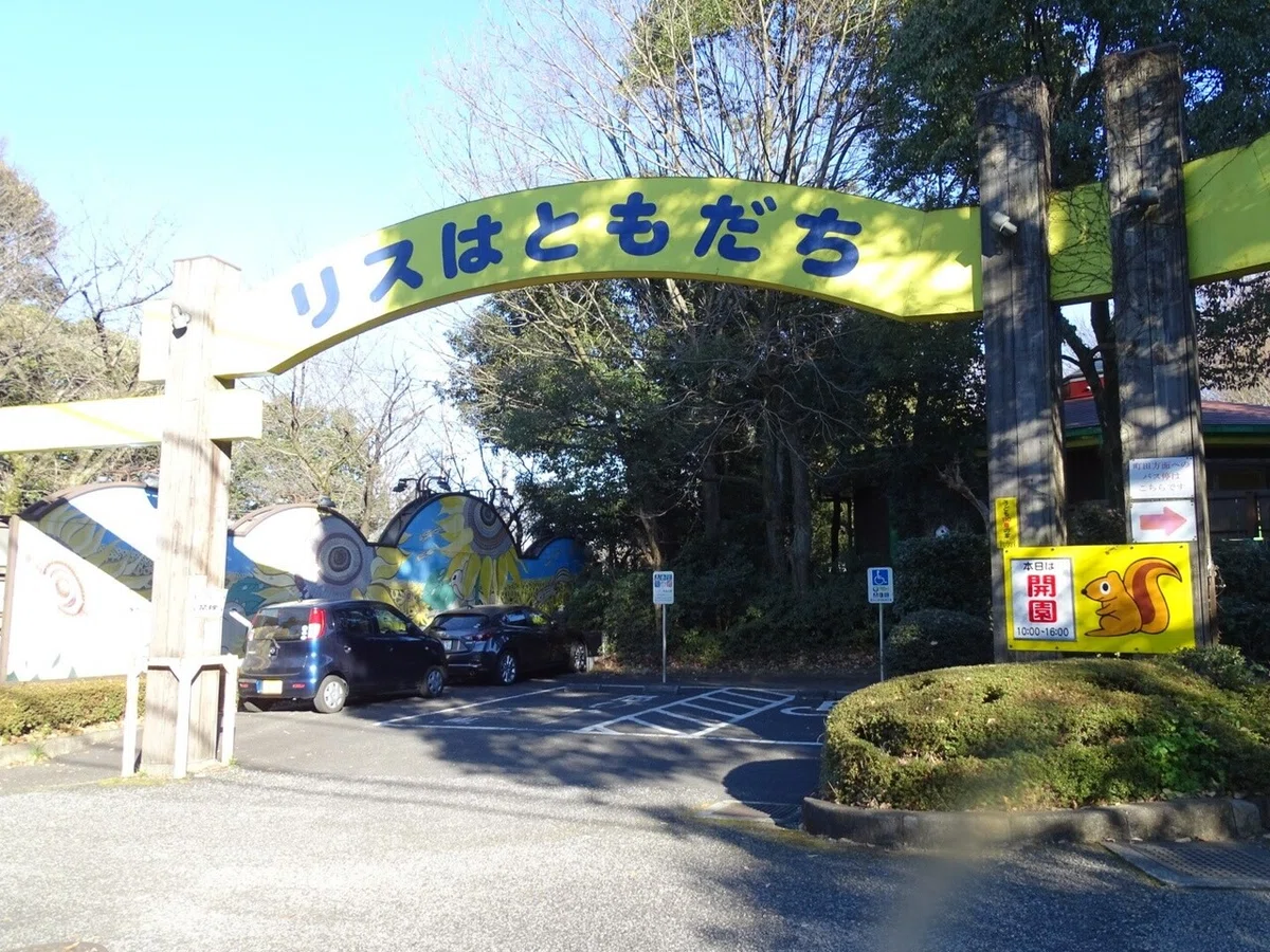 画像5