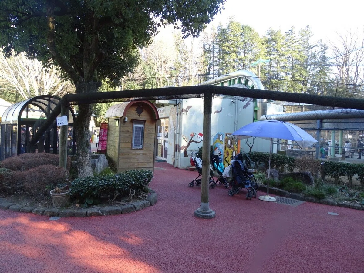 画像11
