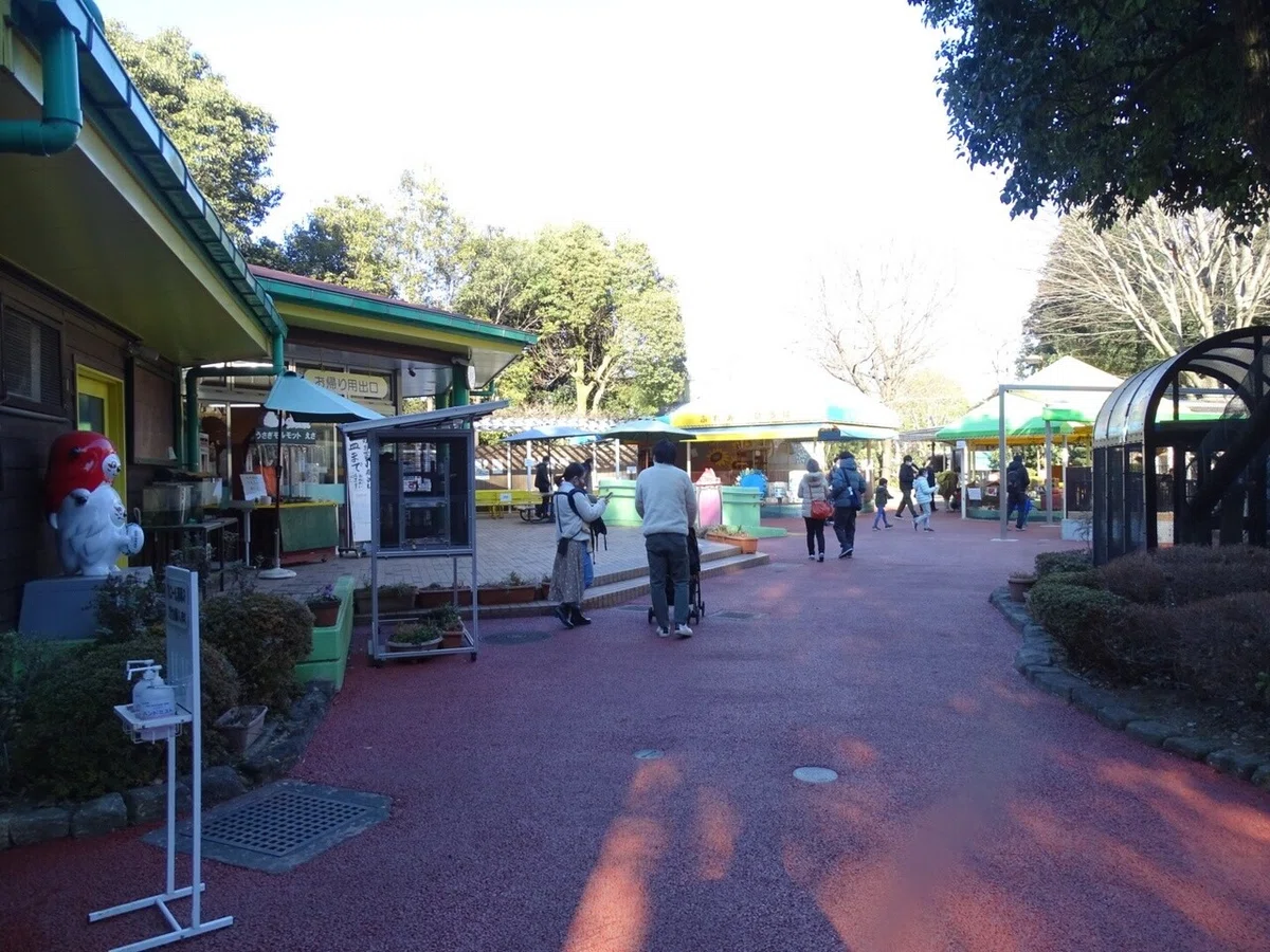 画像10