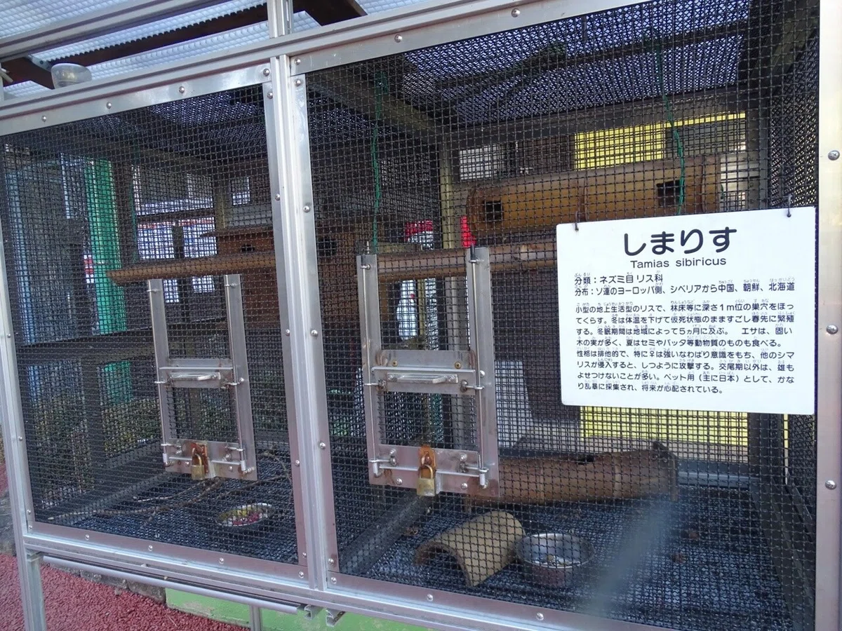 画像18