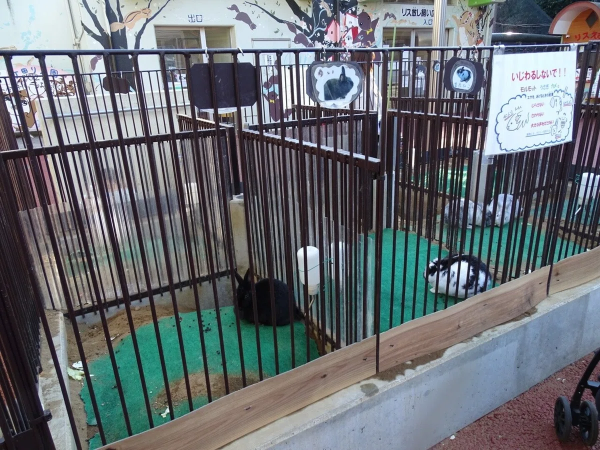 画像21