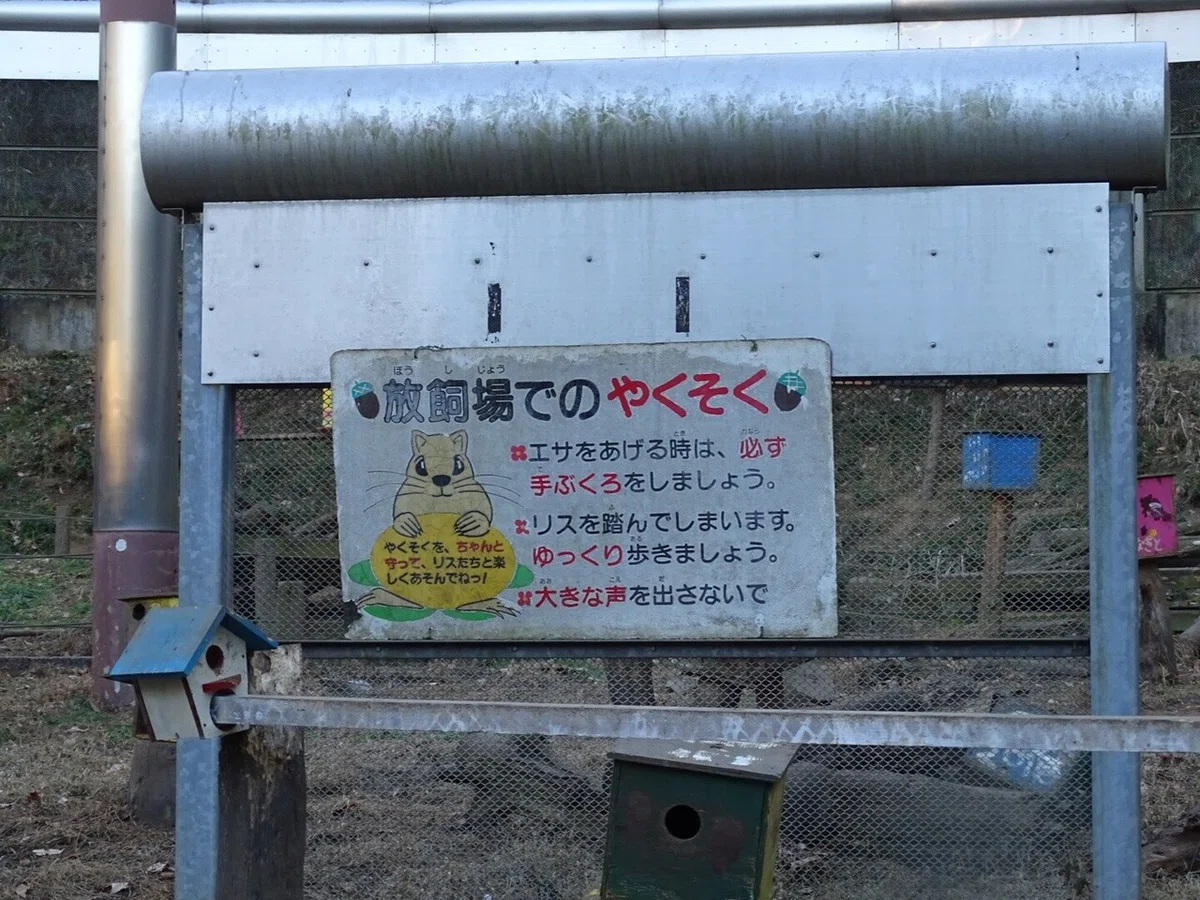 画像49