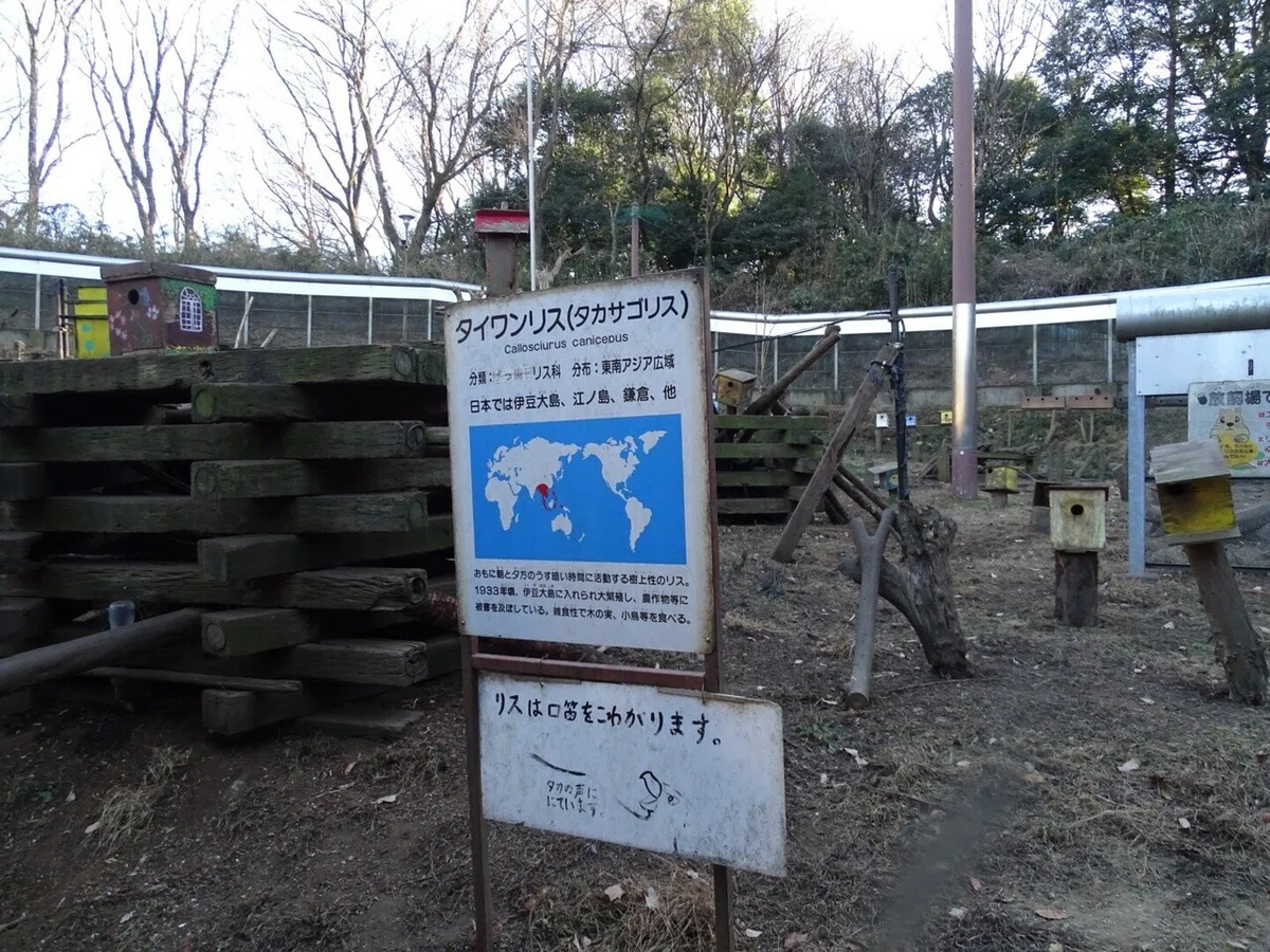 画像51