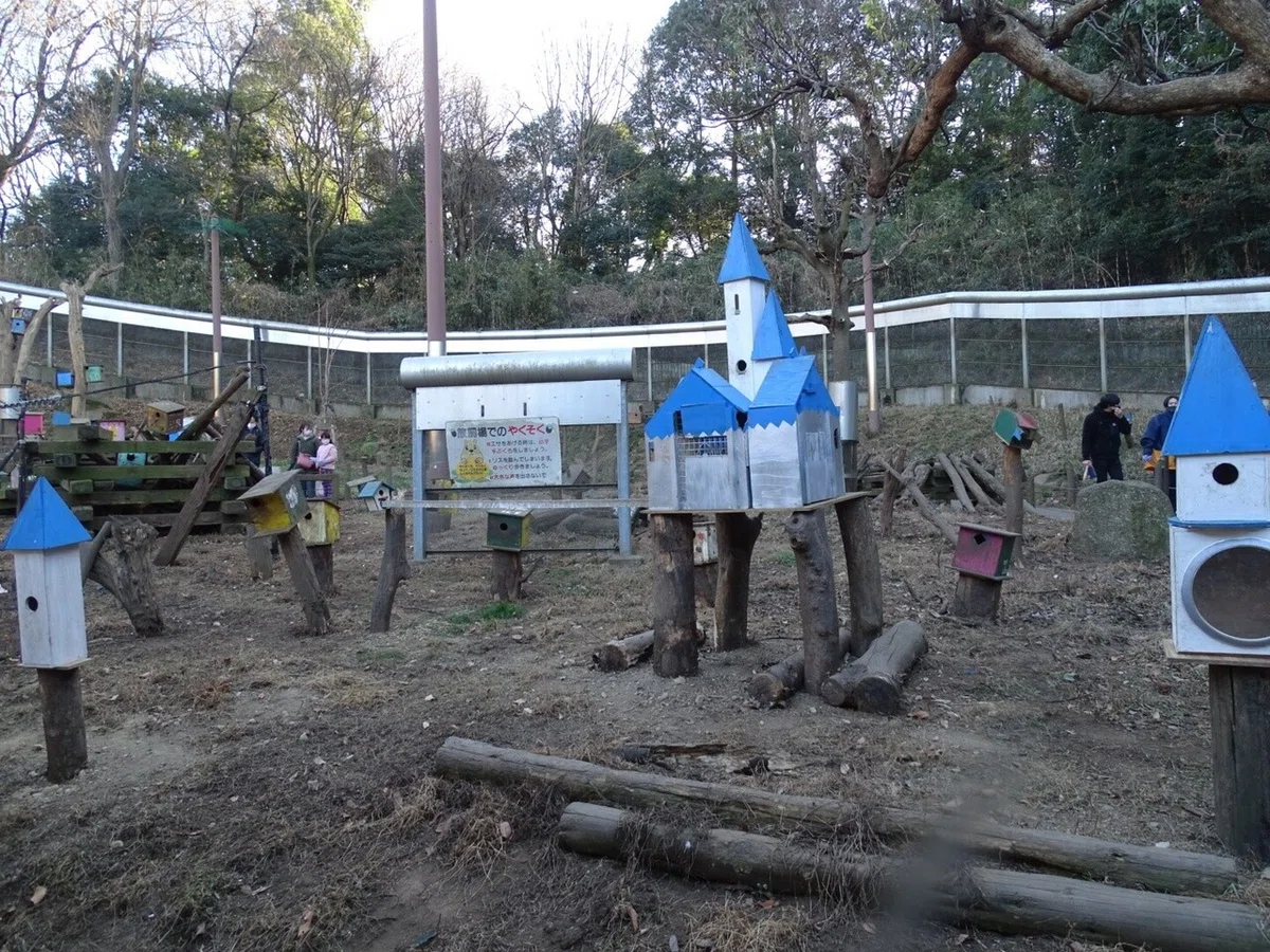 画像50