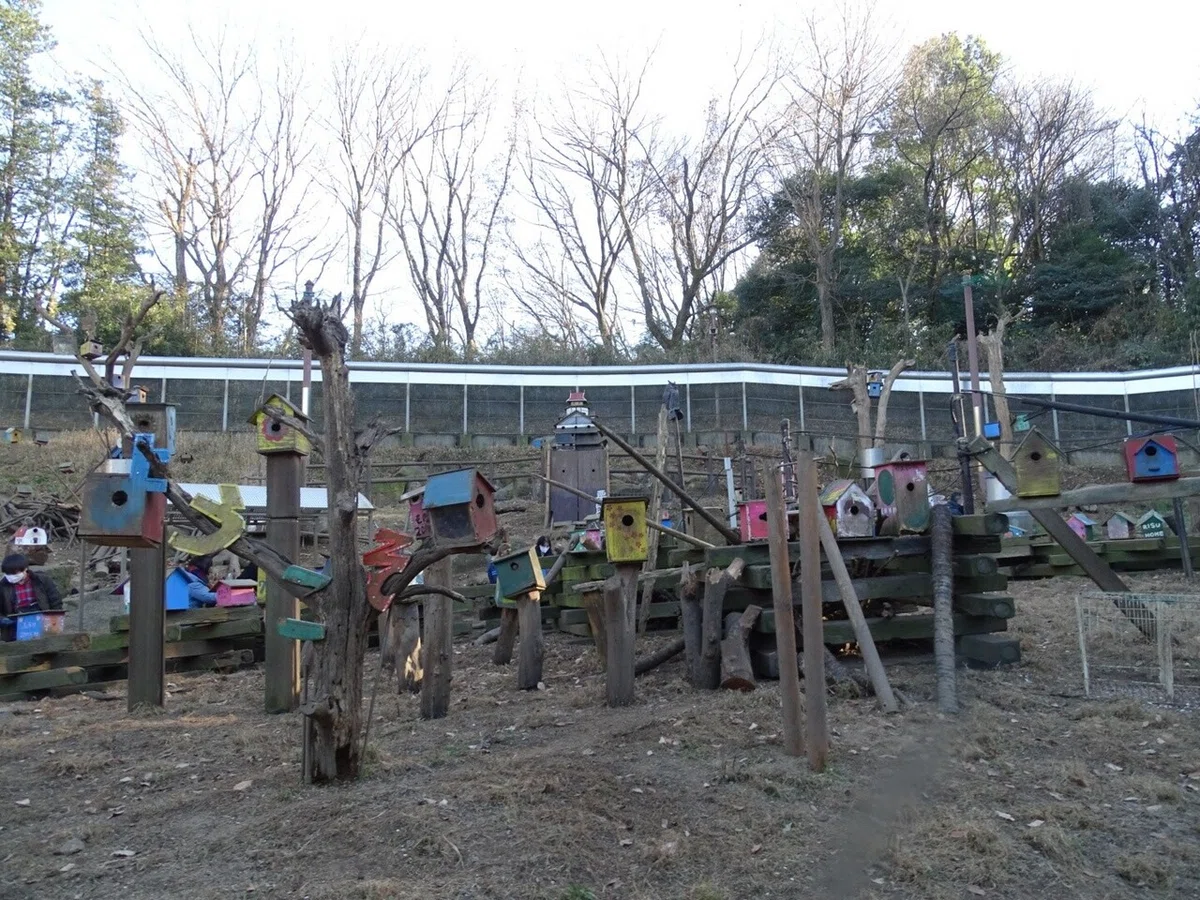 画像52