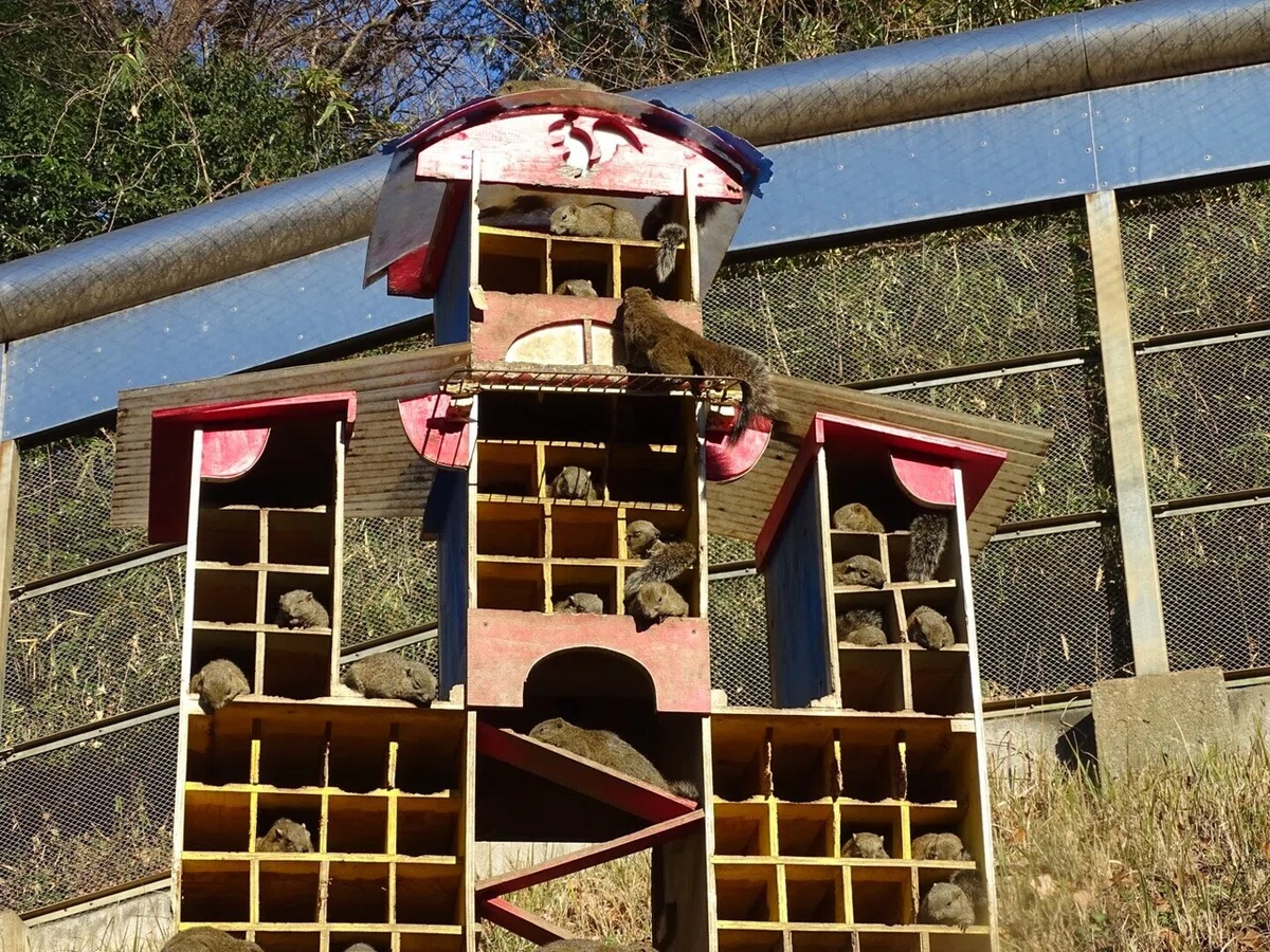 画像33