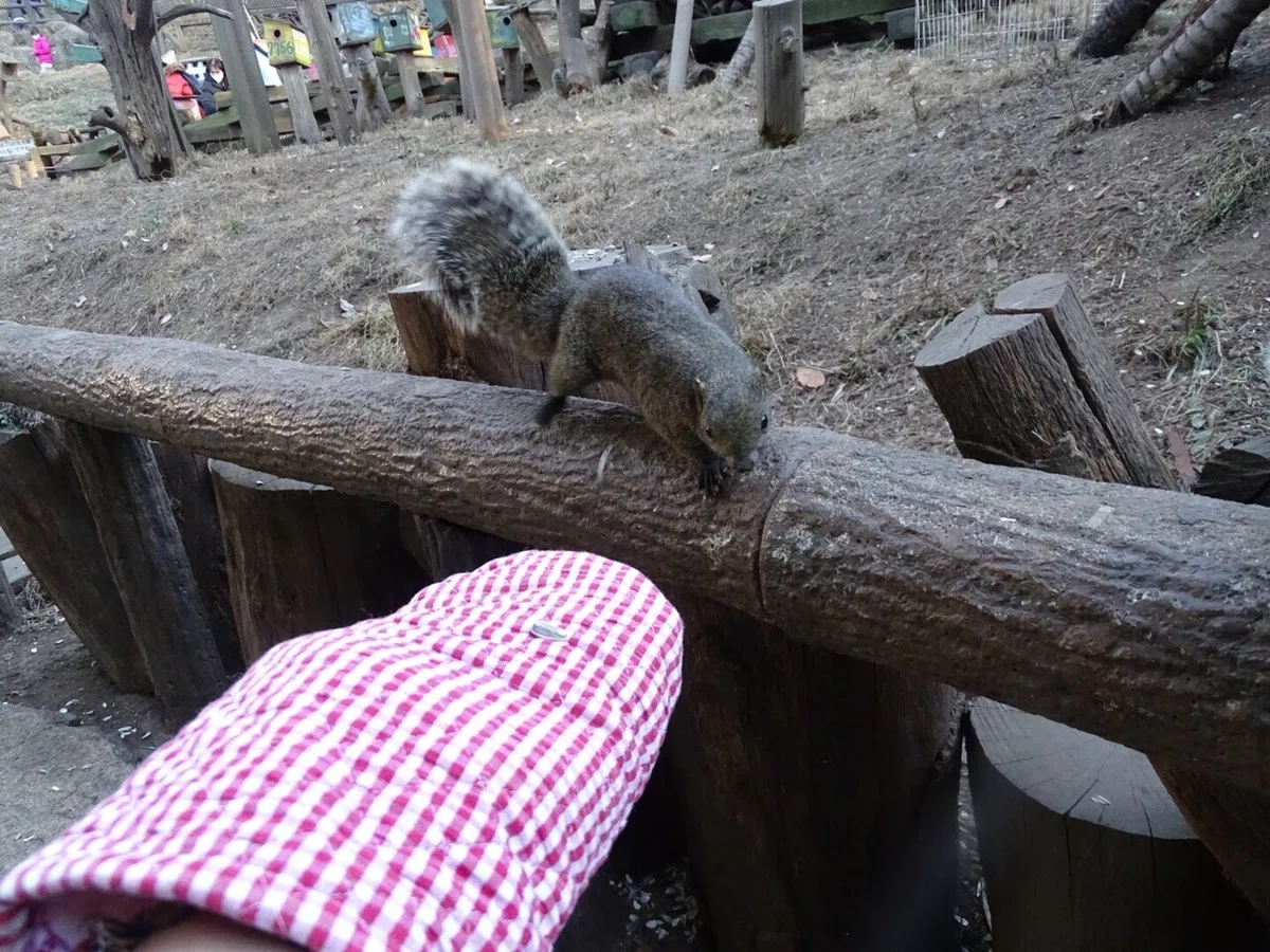 画像55