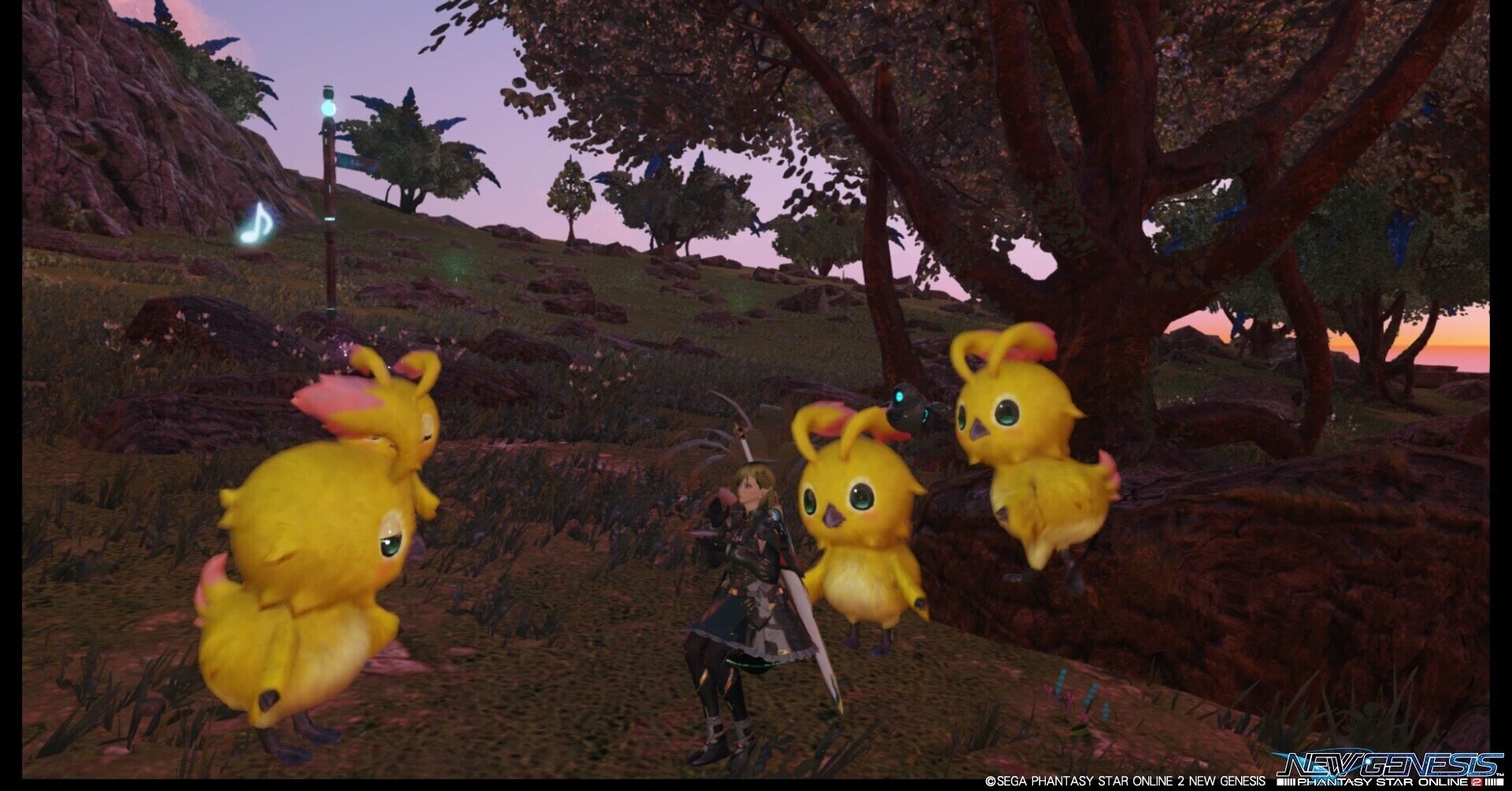 Pso2 Ngs 今後のアプデで期待してるものとか たま Note Pso2 Ngs 今後のアプデで期待してるものとか たま Note