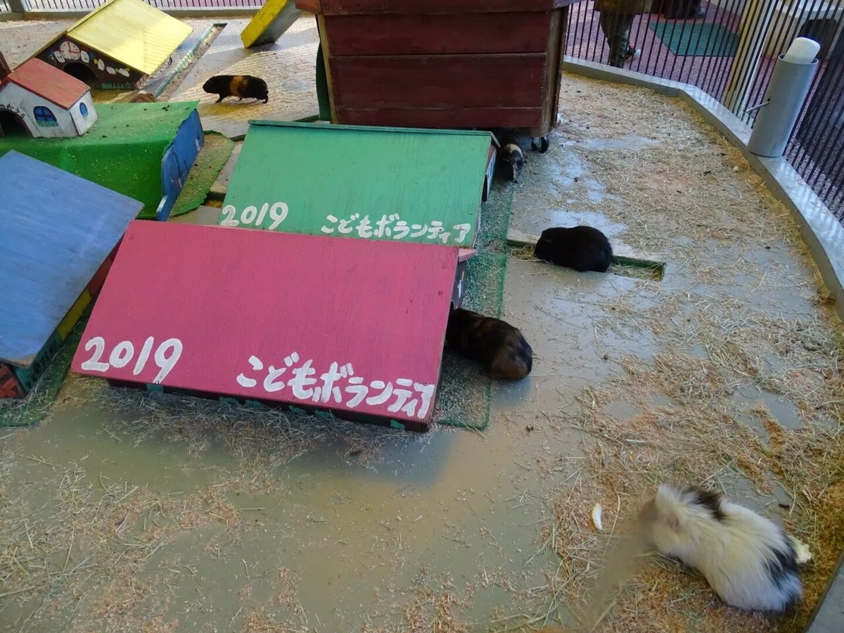 画像72
