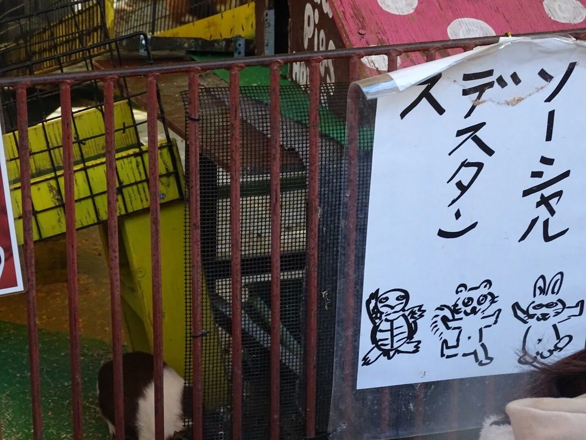 画像77