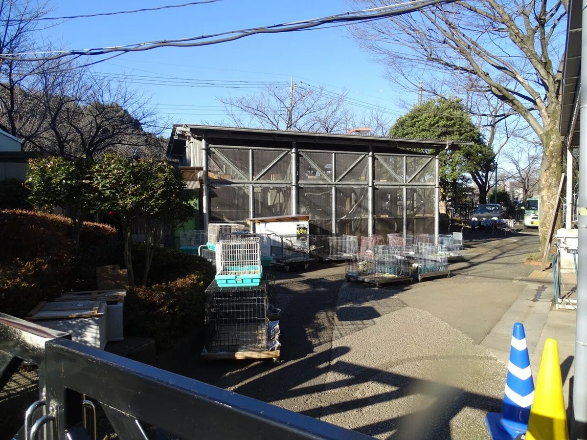 画像80