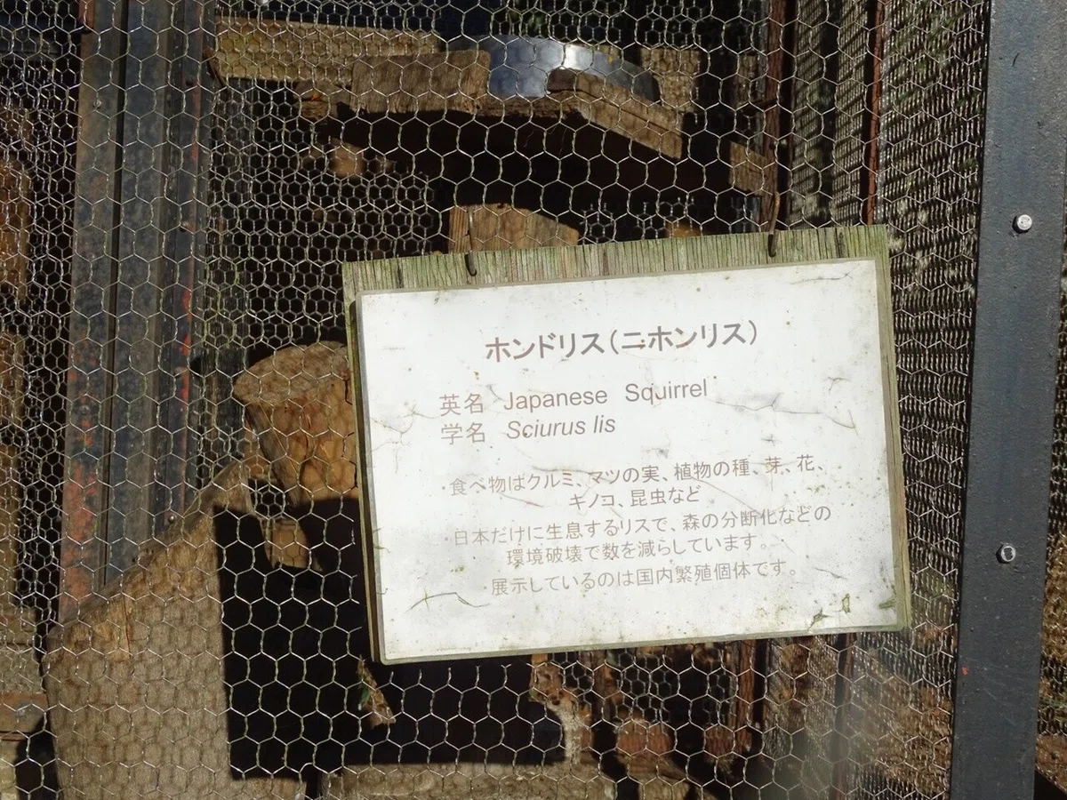 画像76
