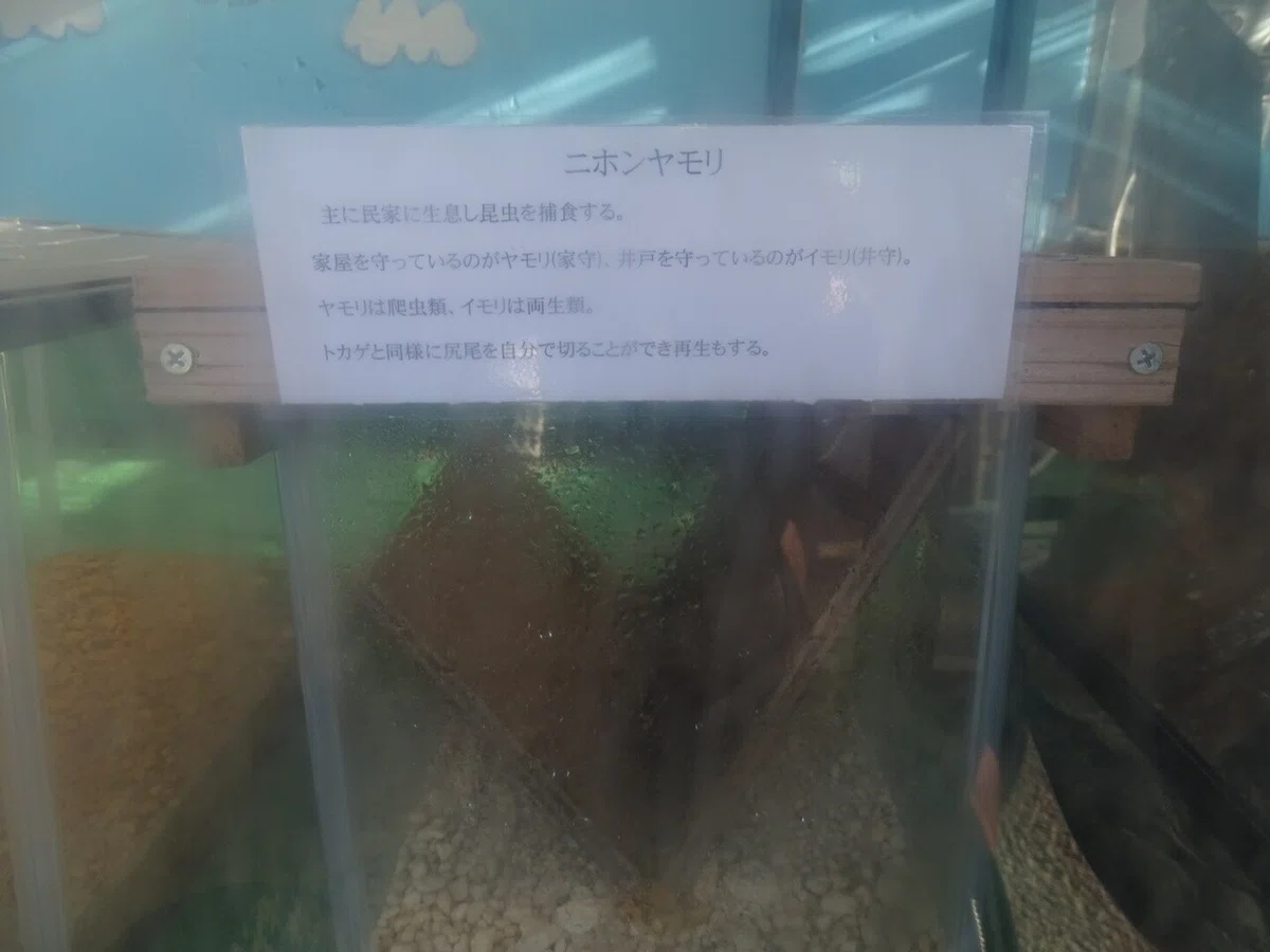 画像84