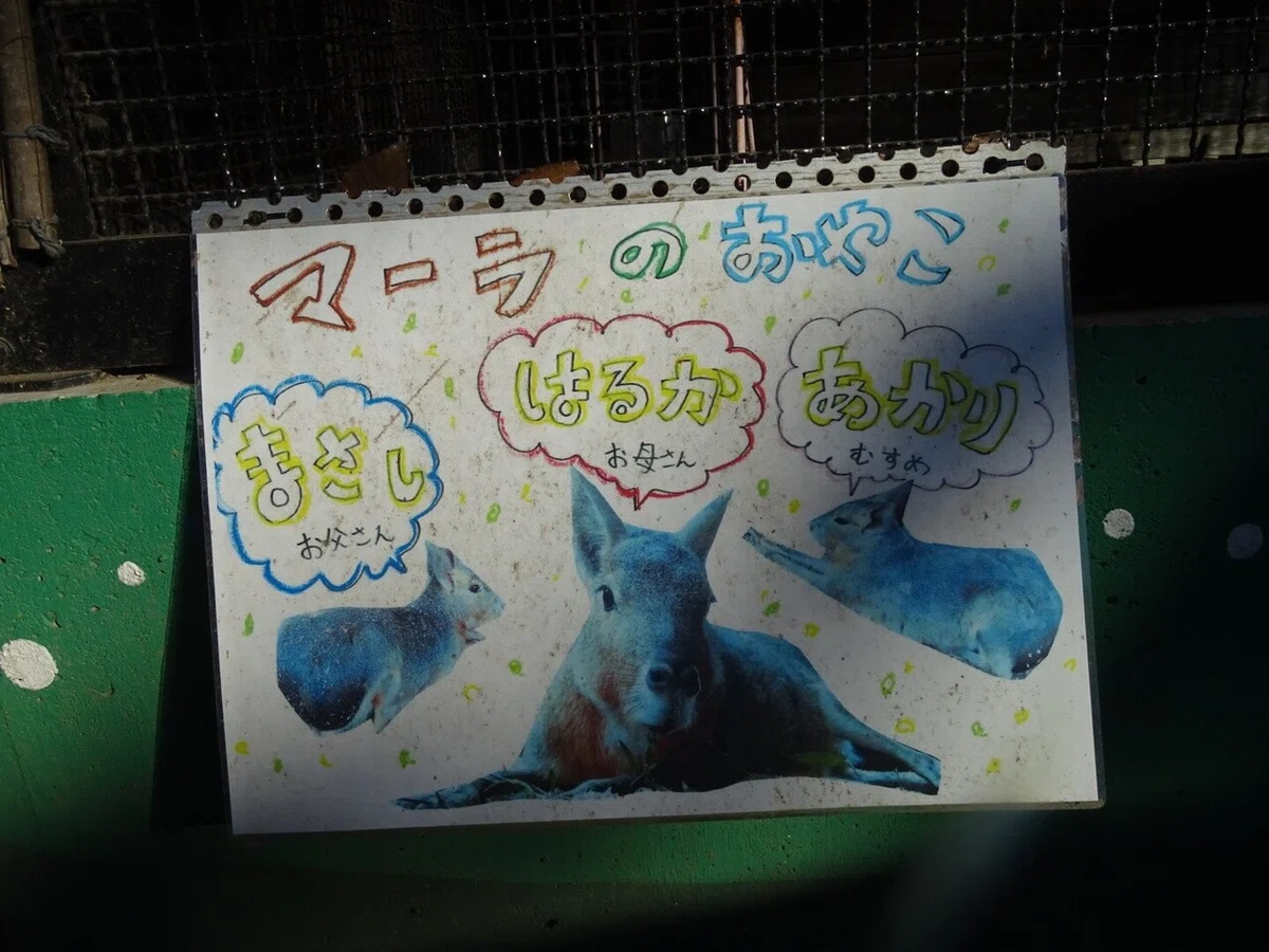画像88