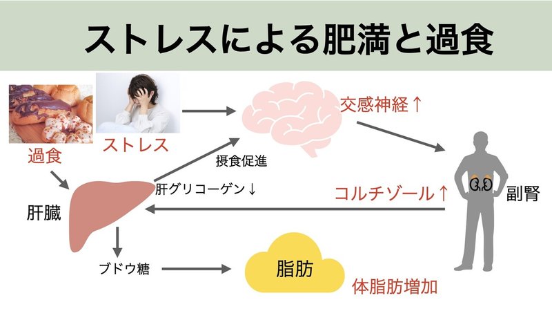 ストレスによる肥満と過食.001