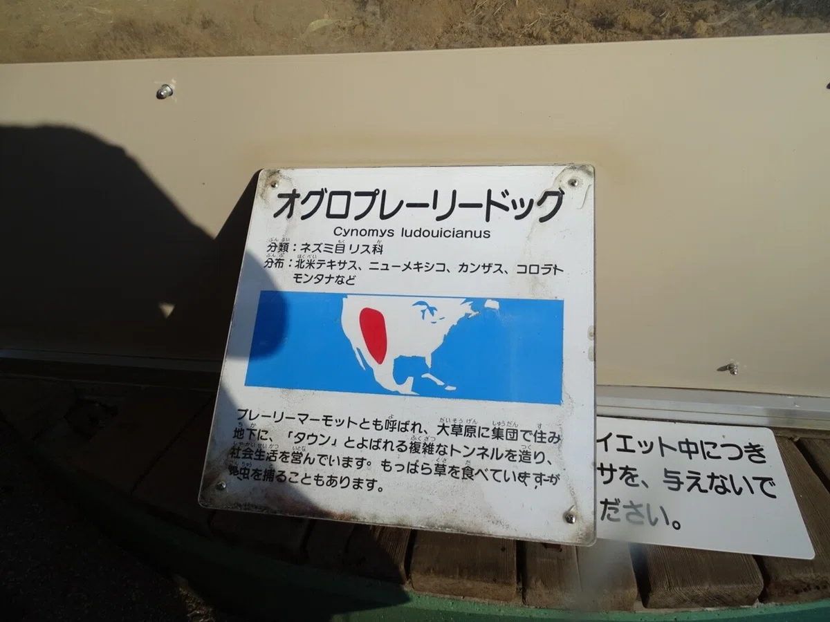 画像99