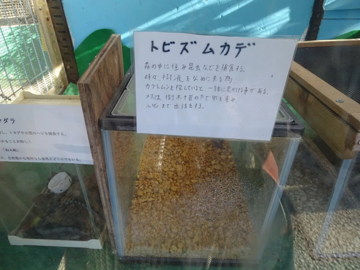 画像93