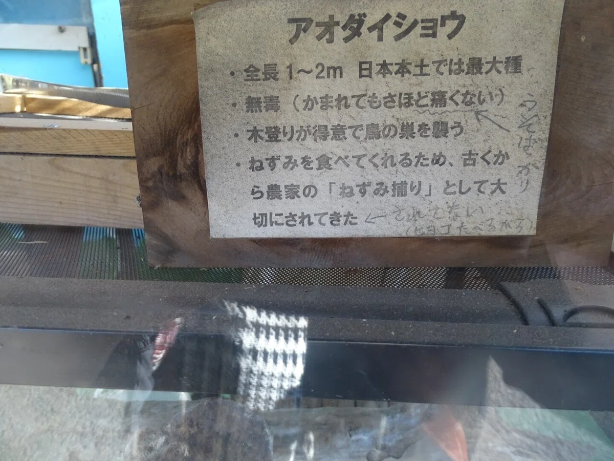 画像94