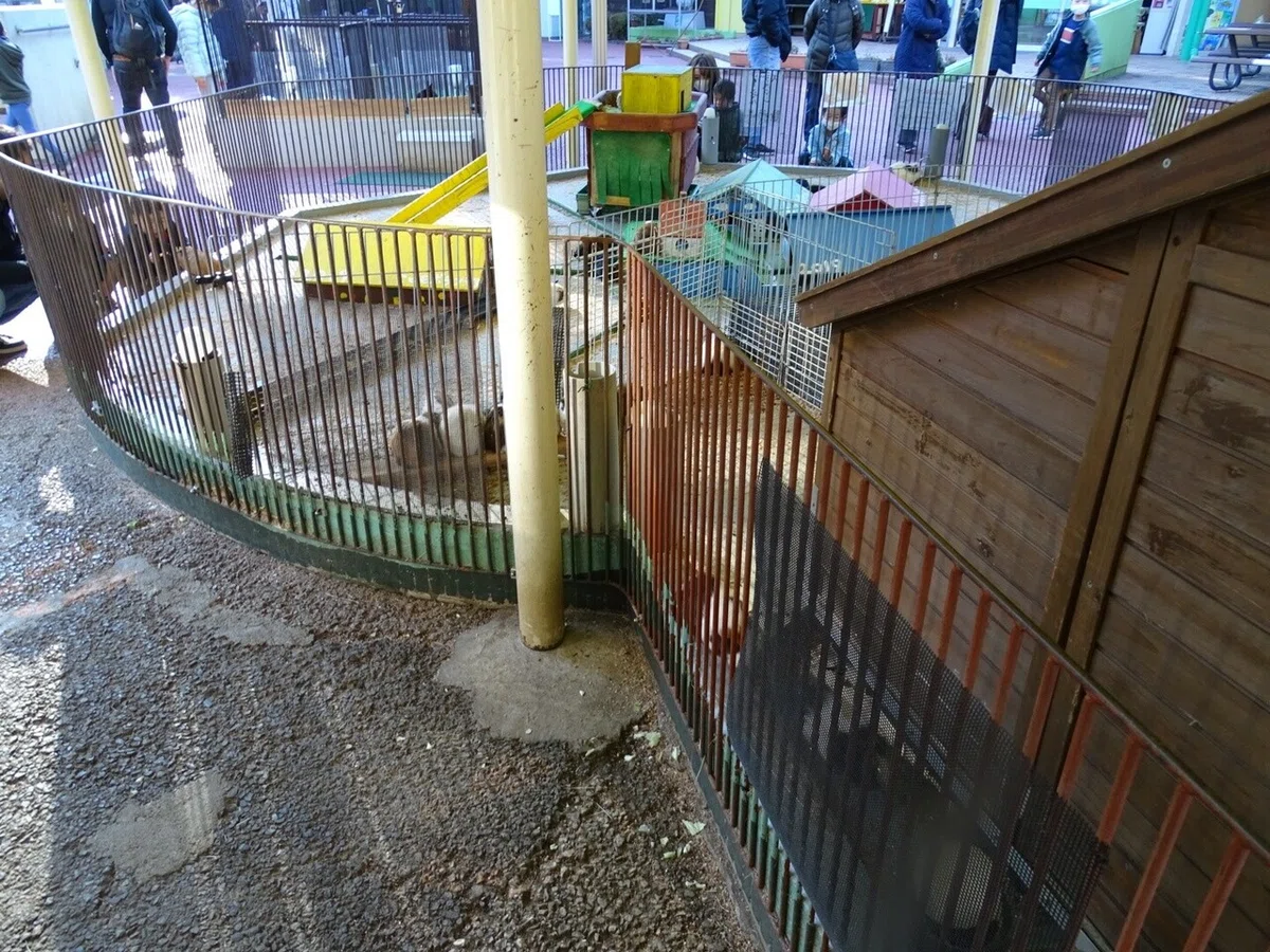 画像103