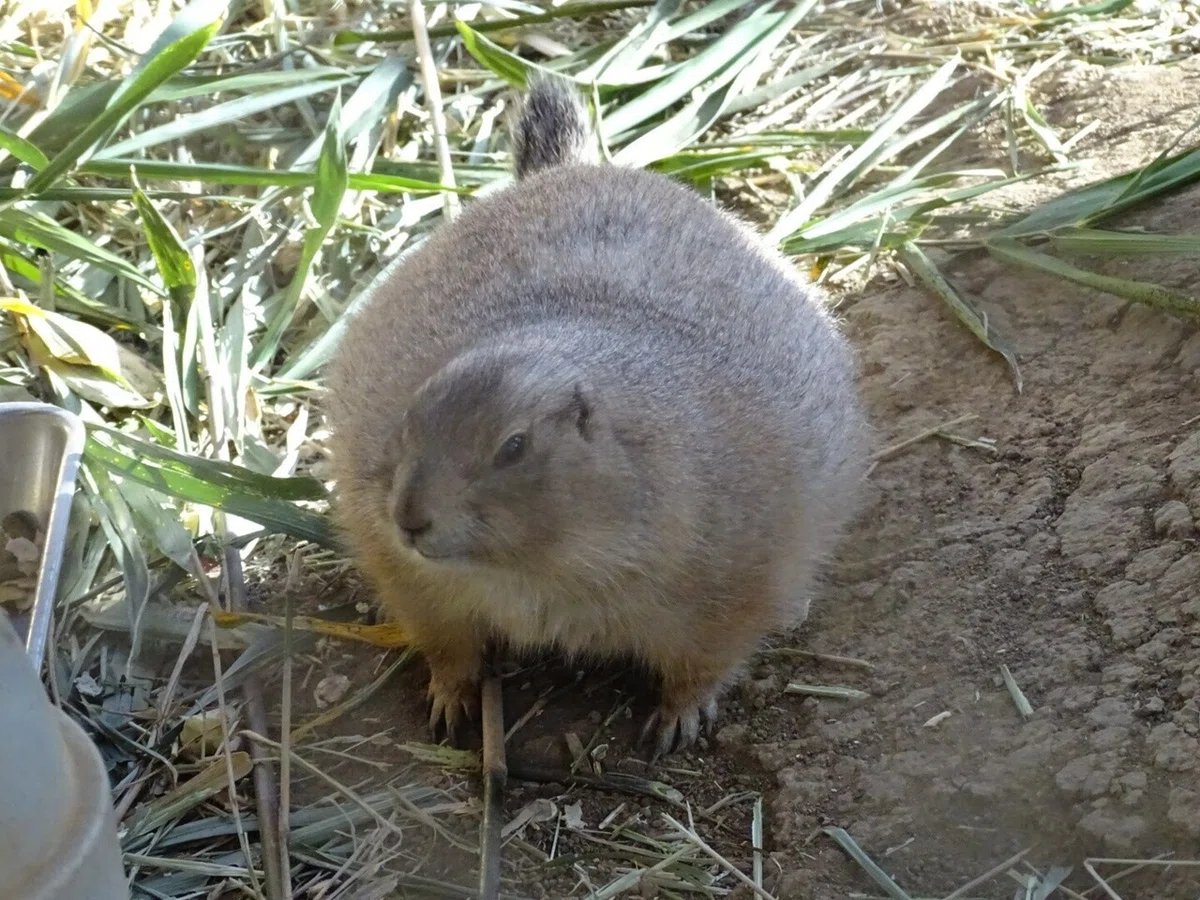 画像102