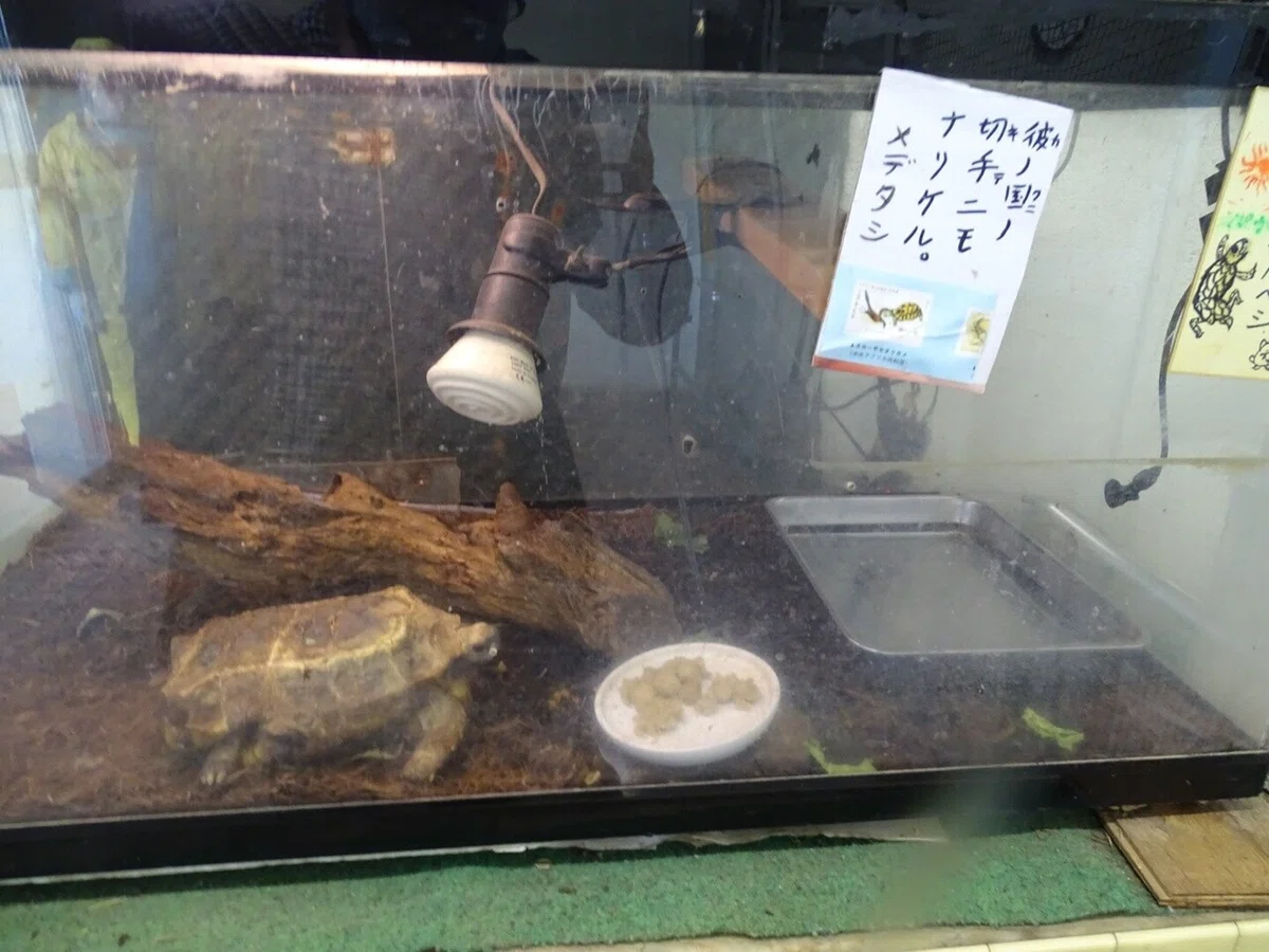 画像105