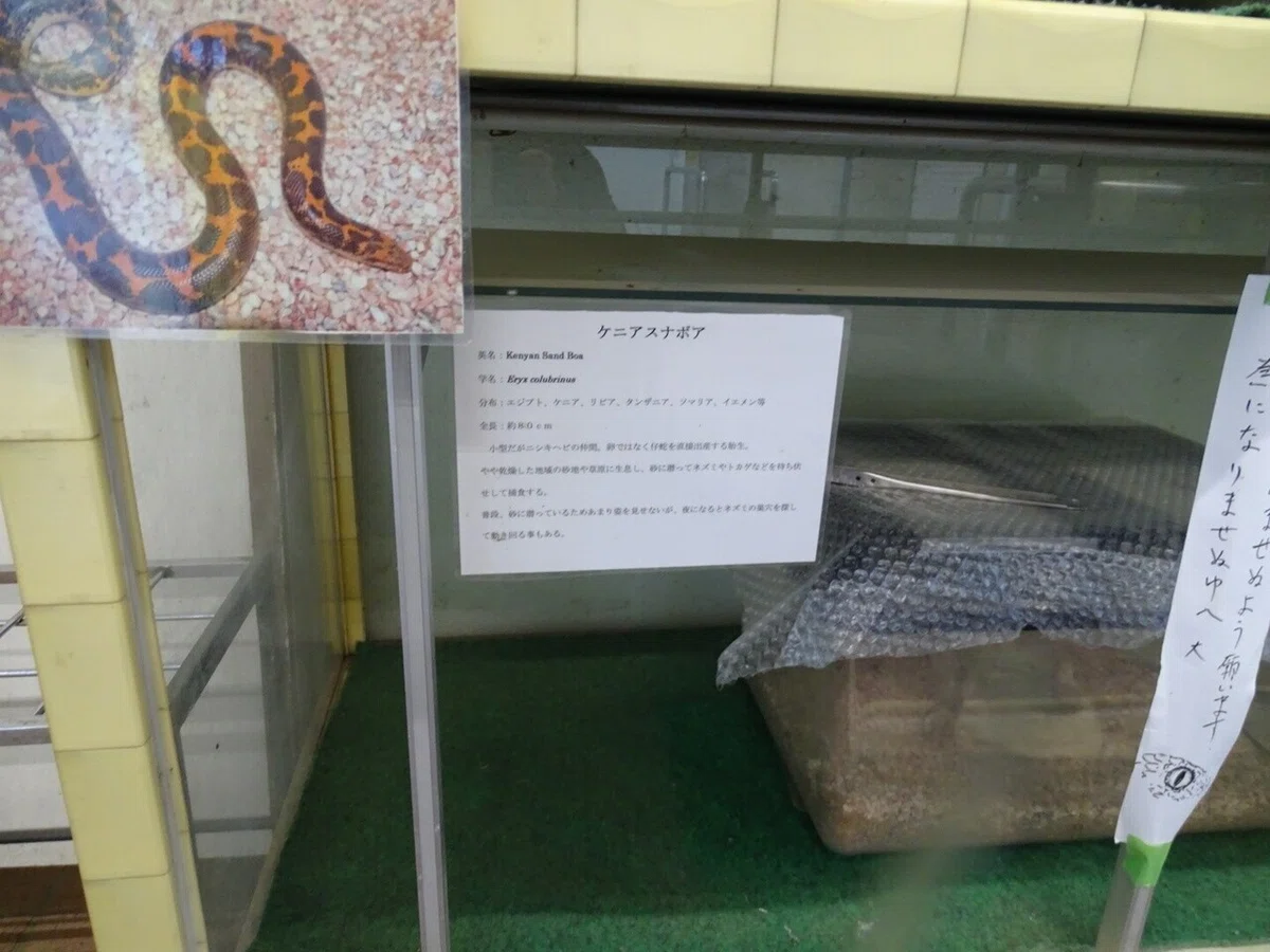 画像106