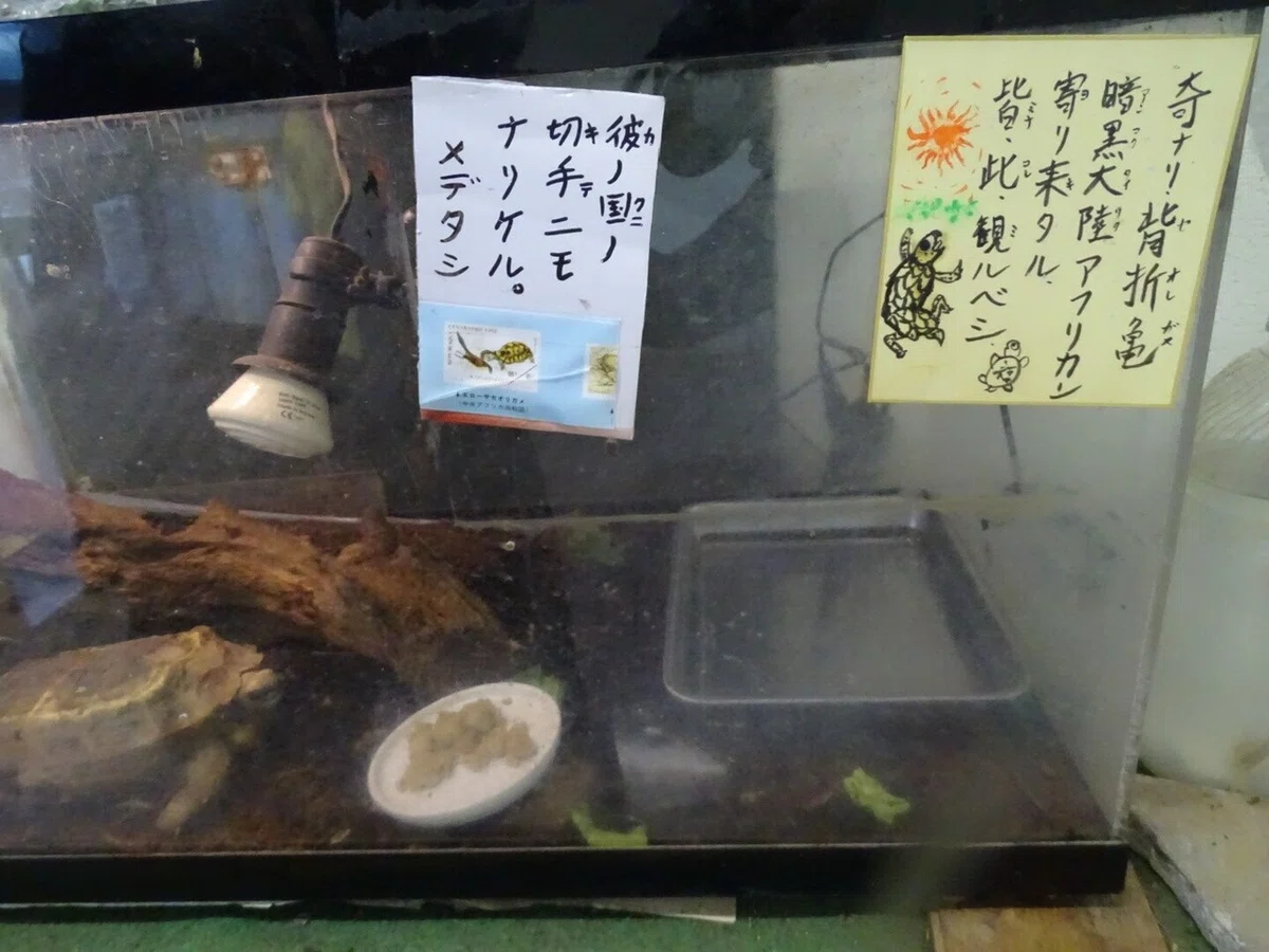 画像107