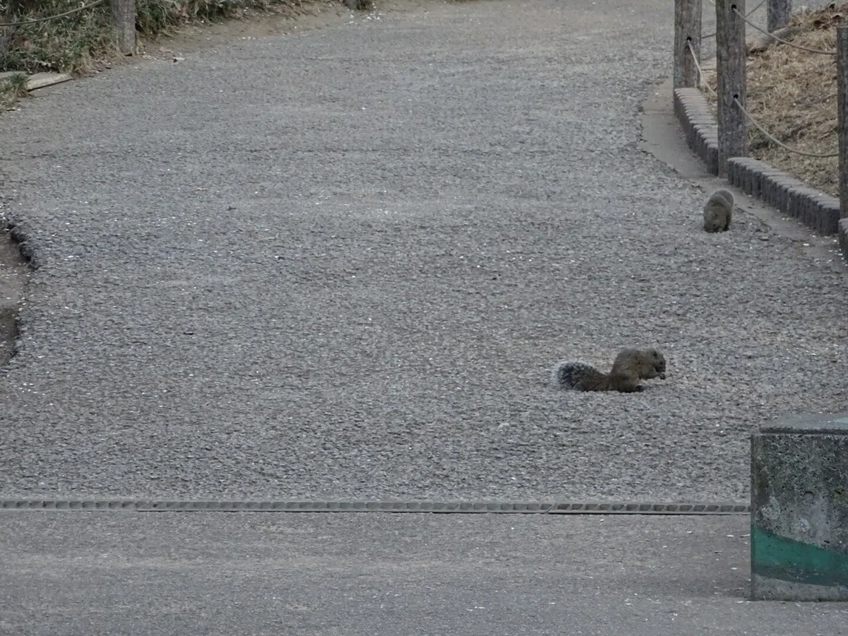 画像108