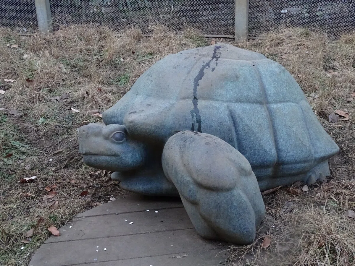 画像113