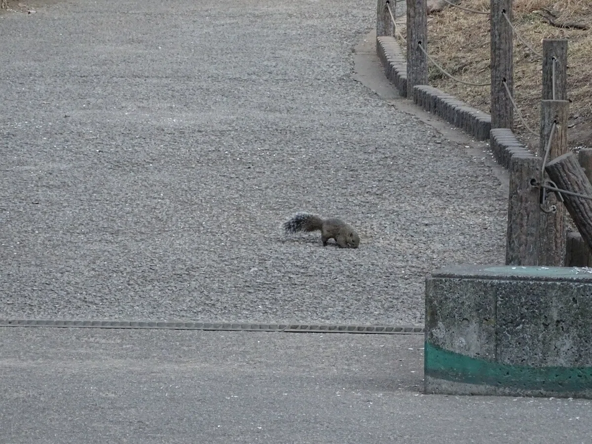 画像115