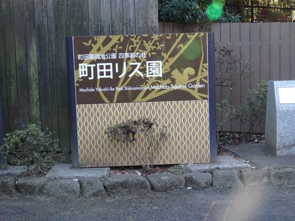画像118