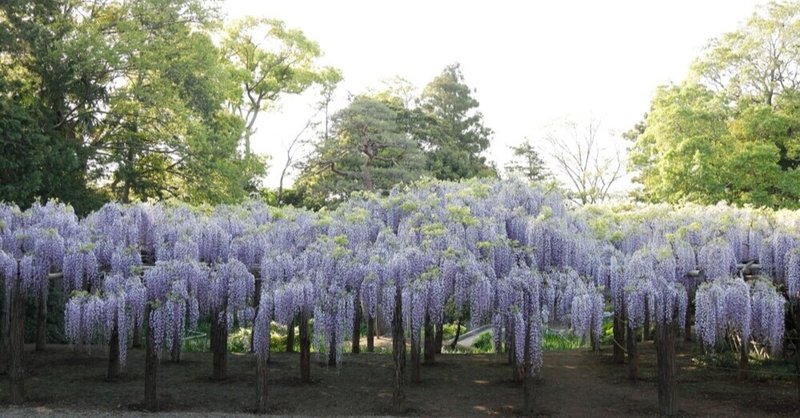 銘酒名物奥の細道 群馬編 Sachiyo Suzuki イラスト 図解でわかるdx 彩流社 イラスト担当 Note