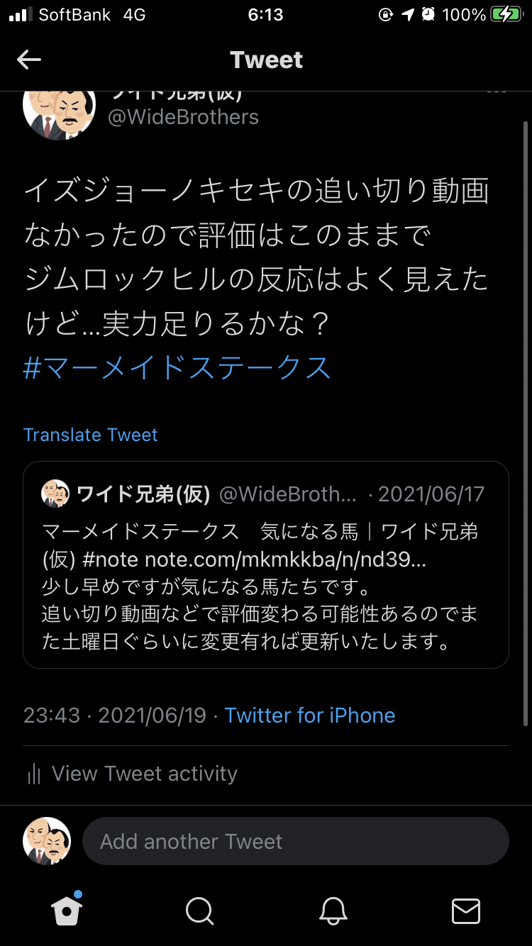 祝!宝塚記念 気になる馬｜ワイド兄弟(仮)｜note