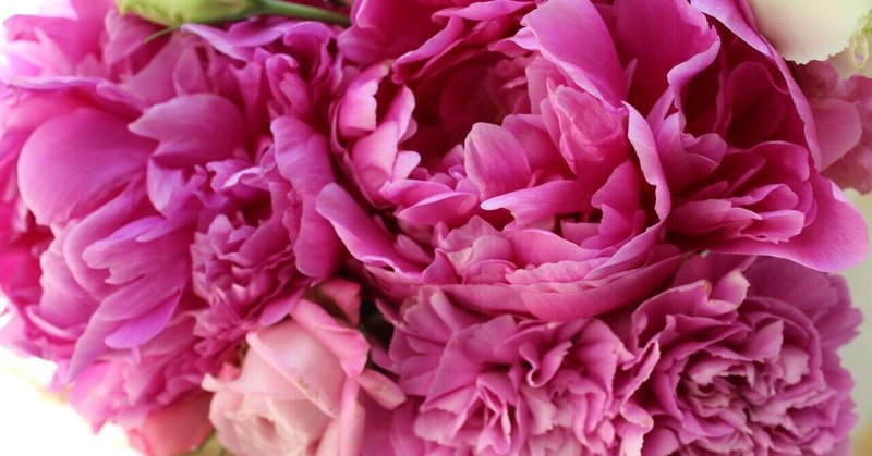 花をなぜ飾るといいの イベントや店舗に 花を飾る必要性とその効果花 石川 味季 Note