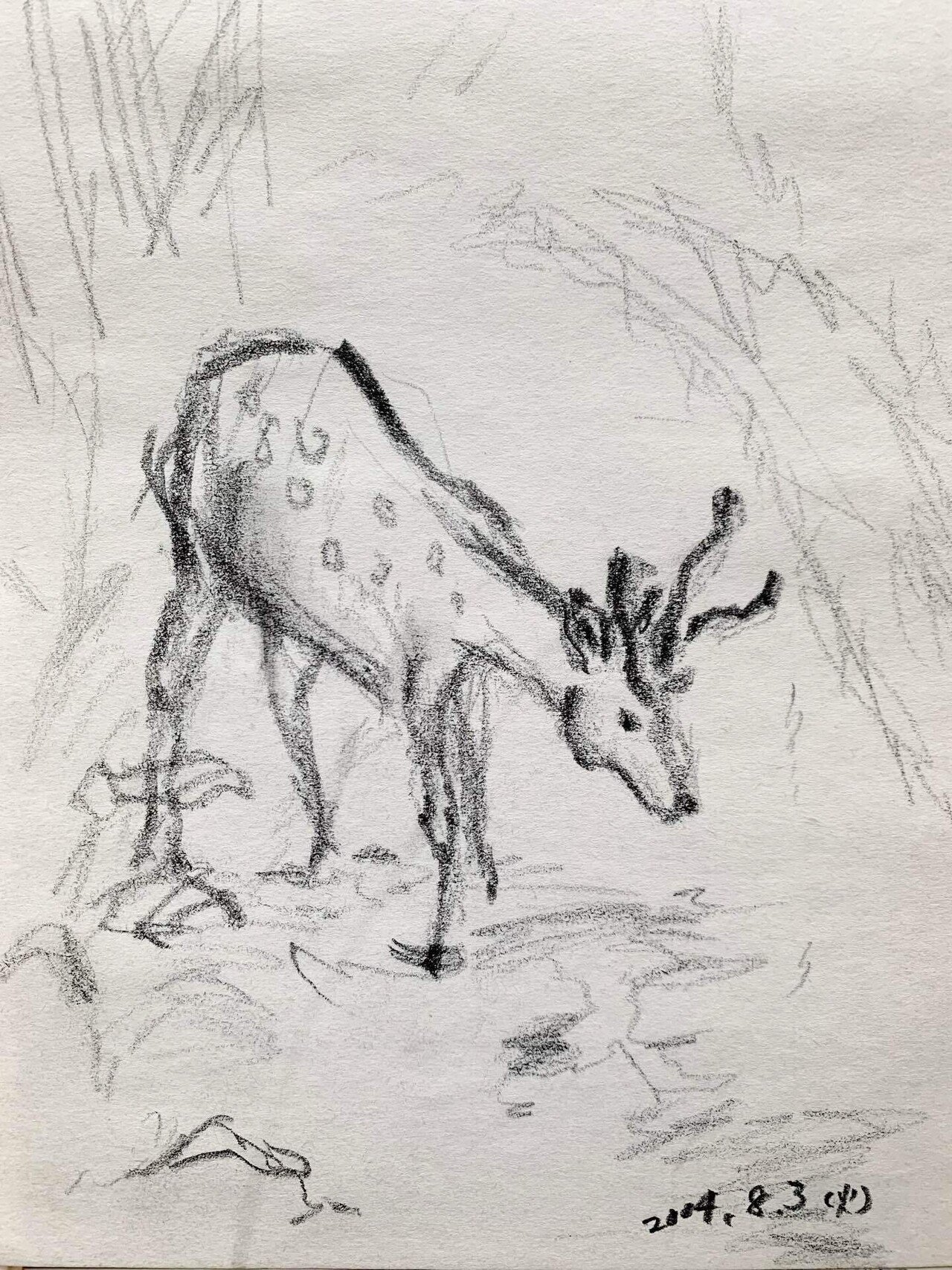 過去の落書き(「鹿、馬、狐」×鉛筆)｜なみなみ・しずか