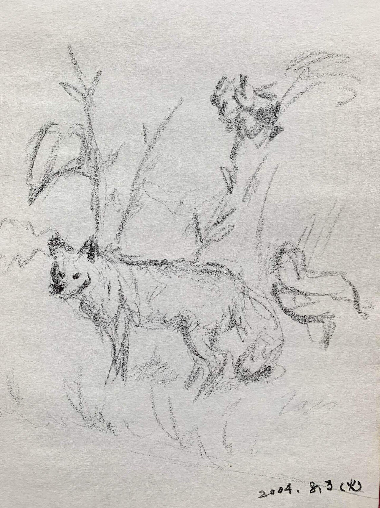 過去の落書き(「鹿、馬、狐」×鉛筆)｜なみなみ・しずか