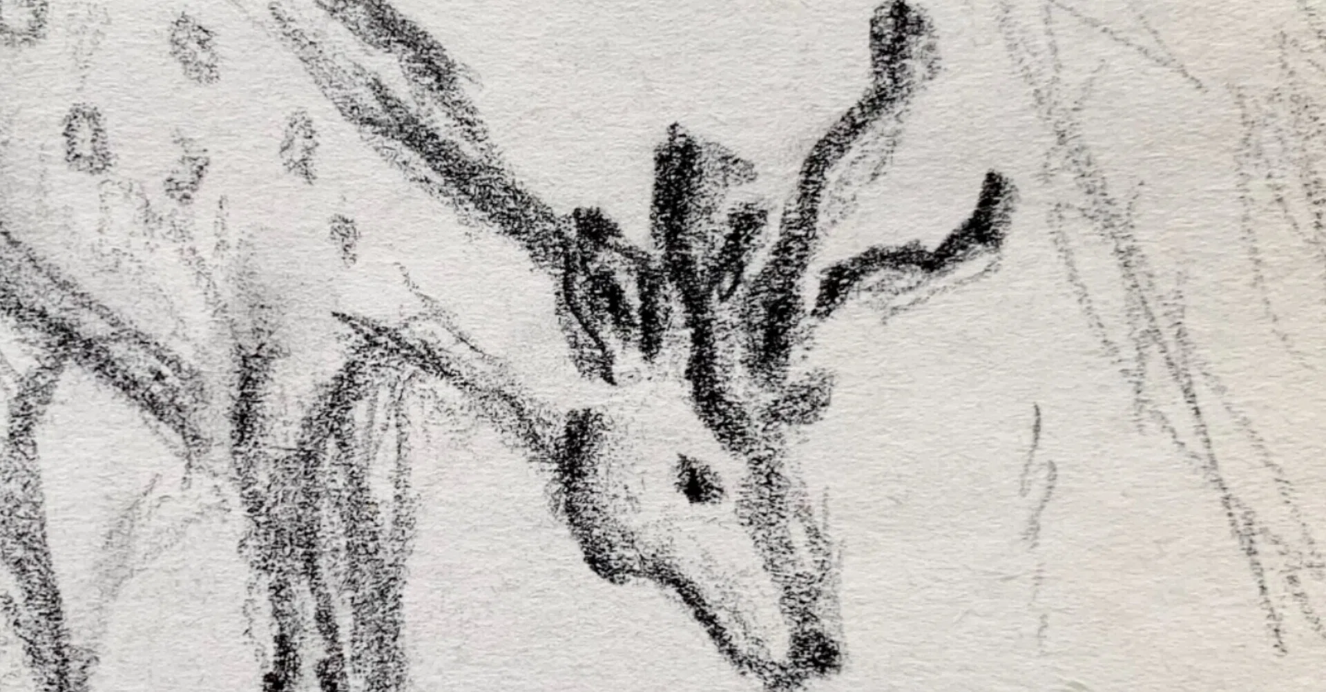 過去の落書き(「鹿、馬、狐」×鉛筆)｜なみなみ・しずか