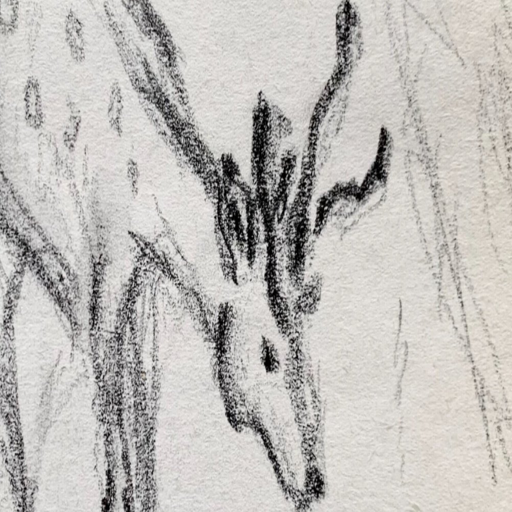 過去の落書き(「鹿、馬、狐」×鉛筆)｜なみなみ・しずか