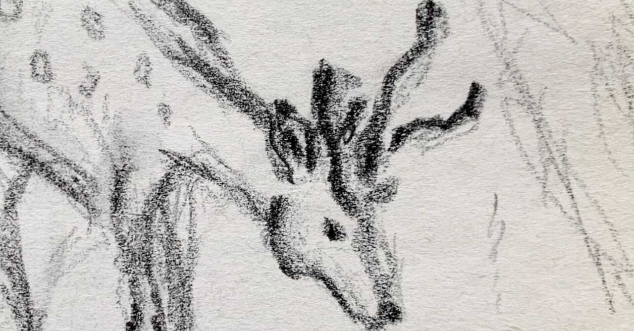 過去の落書き(「鹿、馬、狐」×鉛筆)｜なみなみ・しずか