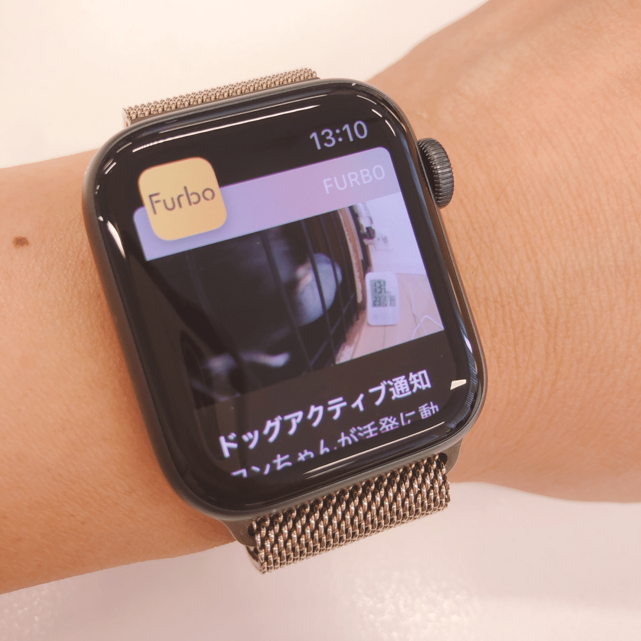 Furbo apple watch discount