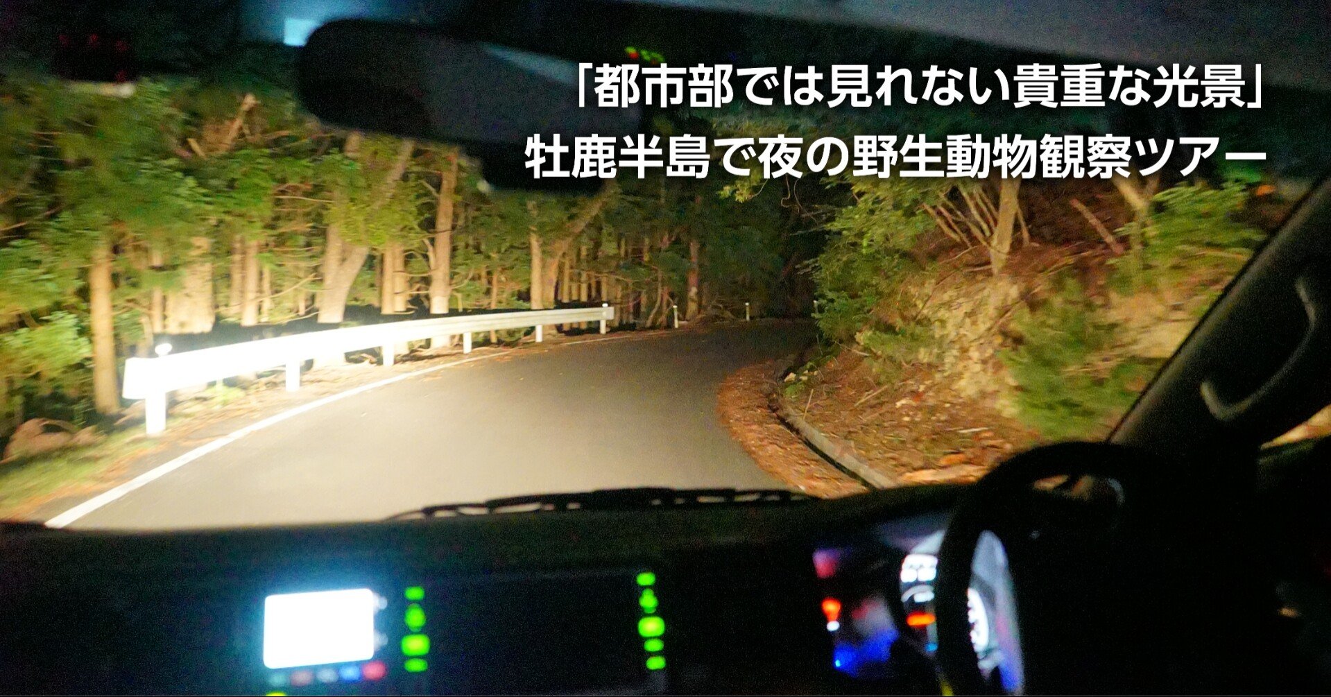 夜の動物ウォッチング みる鹿ナイトツアー バスで巡る牡鹿半島 石巻days 石巻日日新聞社公式 Note