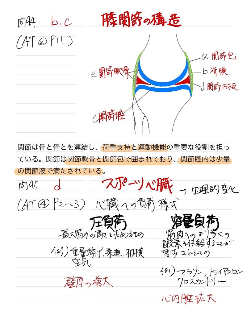 平成27年度　AT専門科目　理論試験(基礎)-181