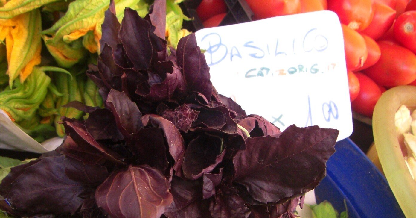 おうちごはんドキュメンタリー 紫バジルで作るペストジェノベーゼは何色になるのか Mamige Note おうちごはんドキュメンタリー 紫バジルで作るペストジェノベーゼは何色になるのか Mamige Note