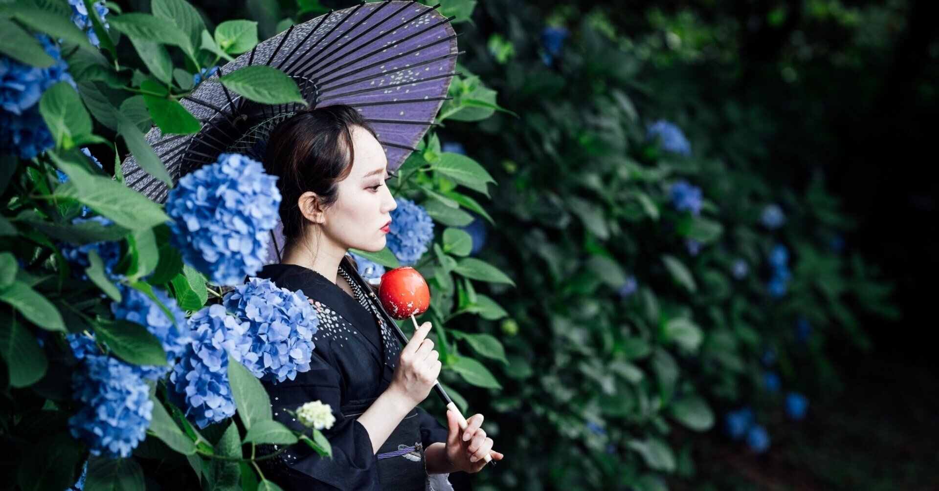 金沢周辺での紫陽花ポートレート21 Masaru Nakanishi 石川県金沢市のフォトグラファー 写真講師 Note