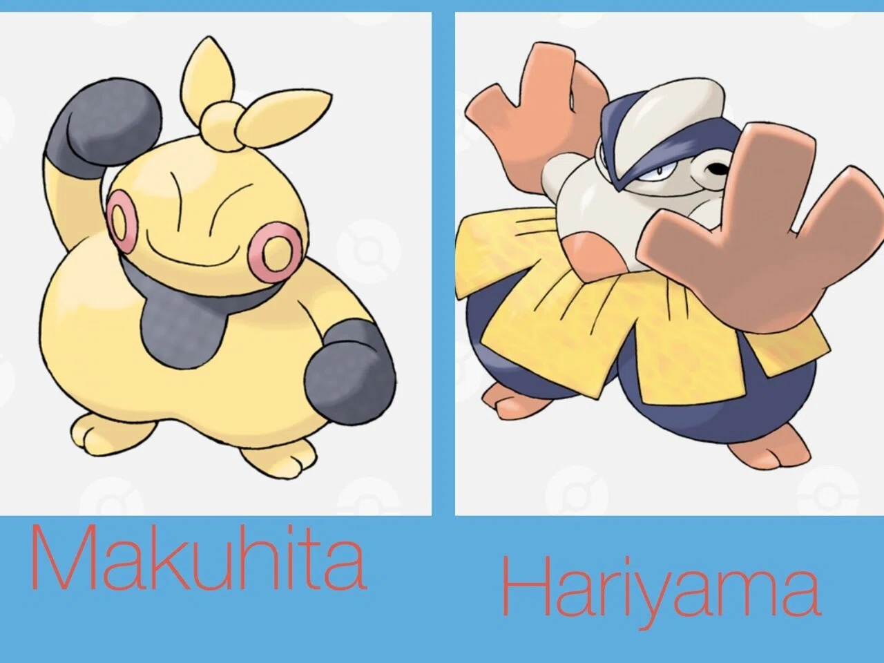 ポケモンの英語名全部覚える日記[第3世代前編]｜リユルン
