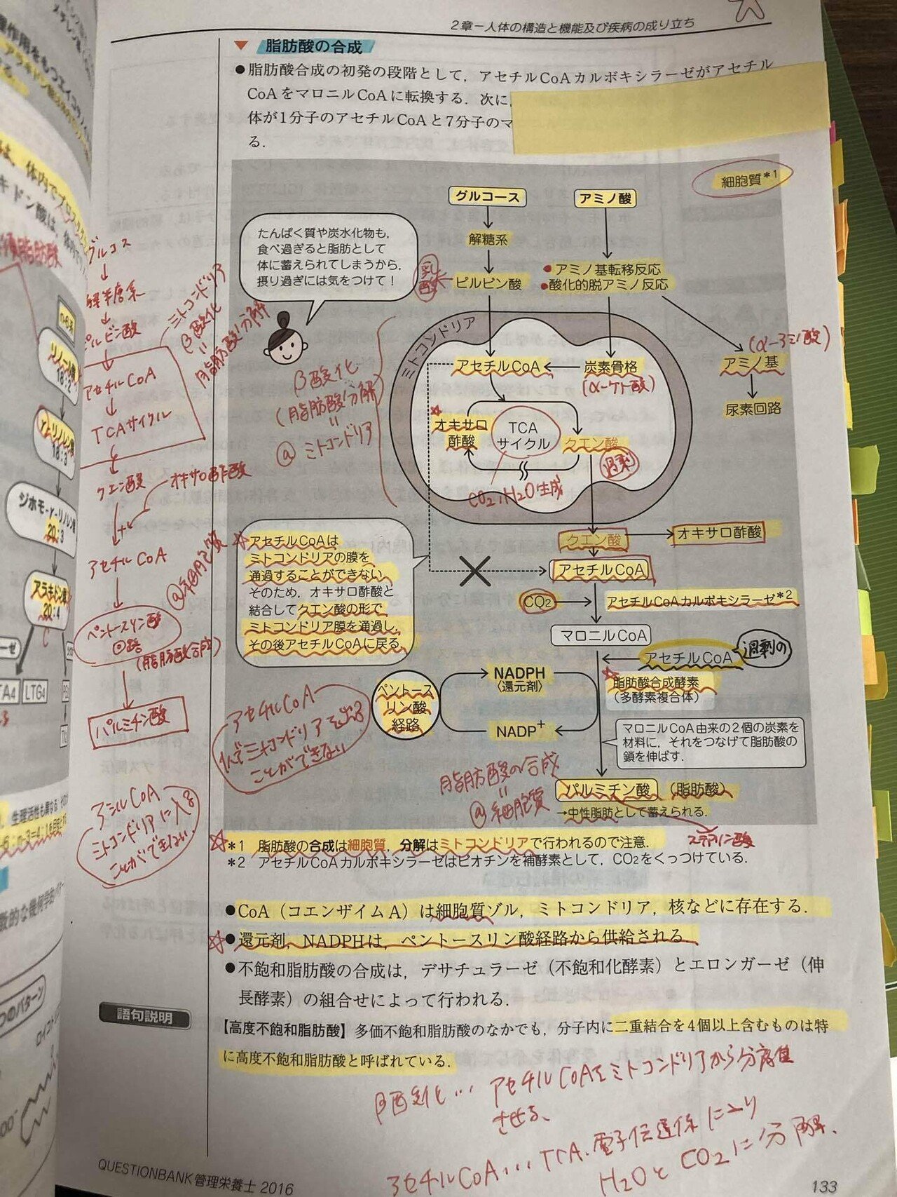 管理栄養士国家試験✏️勉強法✏️｜ayu**