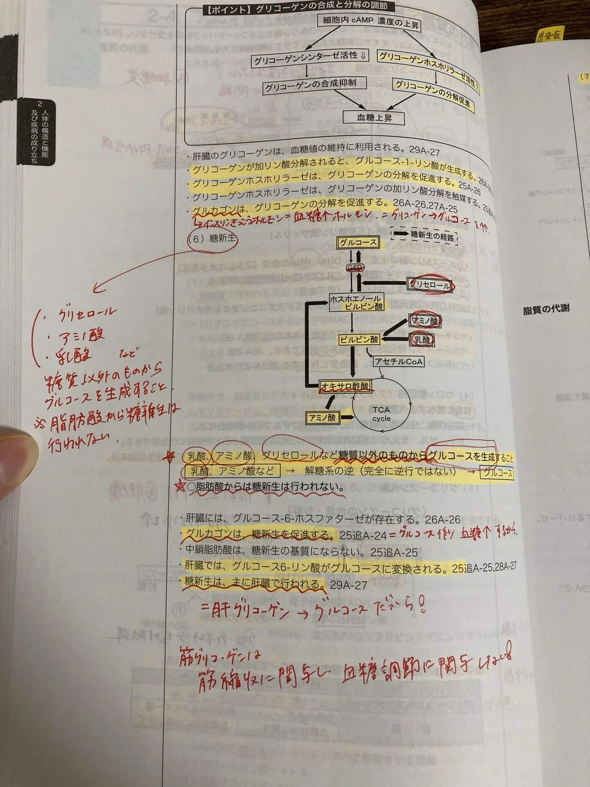 国試の達人の書き込み、QBの書き込み なくす